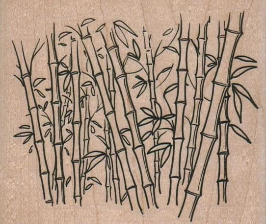 Bamboo 3 3/4 X 3 1/4