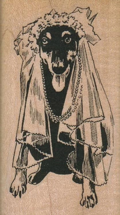 Dog Bride 1 1/2 X 2 1/2