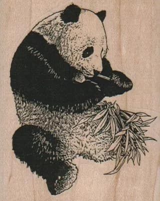 Panda Eating Bamboo 2 1/4 X 2 3/4
