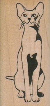 Egyptian Siamese Cat 1 1/4 X 2 1/2