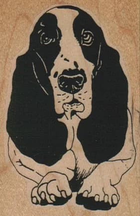 Big Eared Dog 2 X 3
