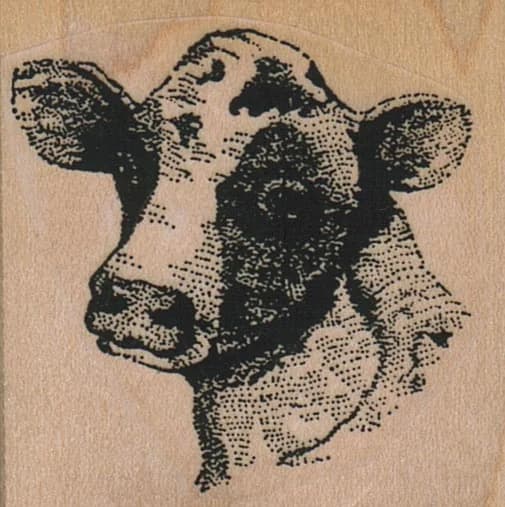 Cow In Your Face 1 3/4 X 1 3/4