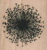 Dandelion Head Silhouette 1 1/2 X 1 1/2