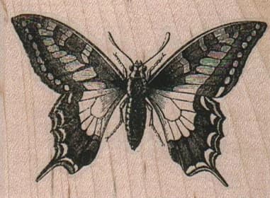 Butterfly 2 3/4 X 2
