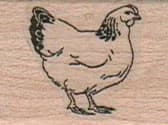 Chicken With Dark Tail 1 X 1 1/4