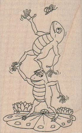 Frogs Balancing 2 X 3