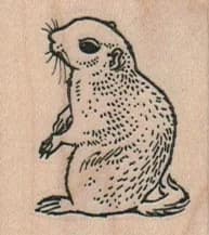 Groundhog 1 1/2 X 1 1/2