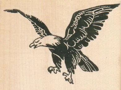 Eagle Flying 3 3/4 X 2 3/4