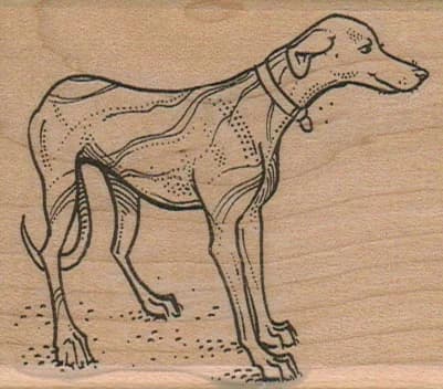 Dog With Collar 2 1/2 X 2 3/4