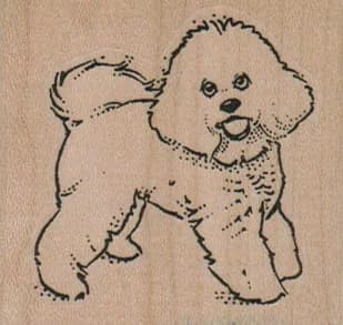 Smiling Bichon Side 2 1/4 X 2
