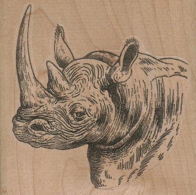 Rhino Head Facing Left 3 1/2 X 3 1/2