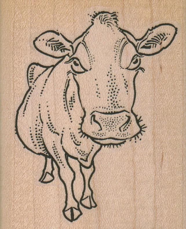 Bossie Cow 2 1/4 X 2 3/4