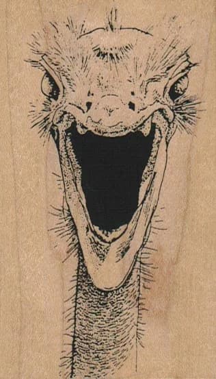 Screaming Ostrich Head 2 1/4 X 3 3/4