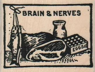Brain & Nerves 2 1/4 X 1 3/4