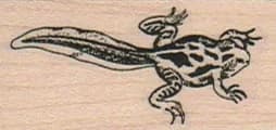 Frog With Tail 1 X 1 3/4