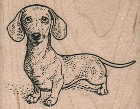 Wiener Dog 3 1/4 X 2 1/2