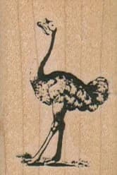 Ostrich 1 1/4 X 1 3/4