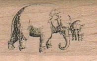 Elephants/big & Small 1 1/4 X 1