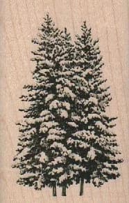 Christmas Trees Small 2 X 3