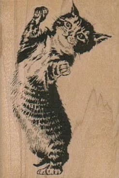 Sprawling Cat 1 3/4 X 2 1/2