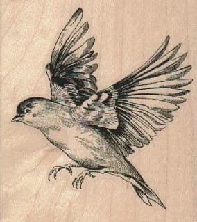 Large Bird Flying Left 3 X 3 1/4