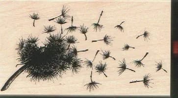 Blowing Dandelion And Extra Seed By Susan M. Brown 2 X 3 1/2 And 3/4 X 3/4