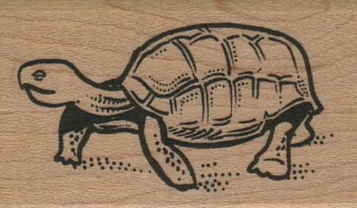 Turtle 1 1/4 X 1 3/4