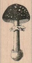 Tall Mushroom 1 1/4 X 2 1/4