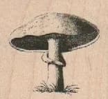 Mushroom 1 3/4 X 1 1/2