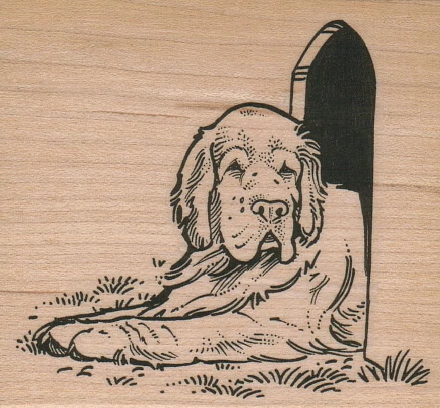 Dog/house 3 X 3