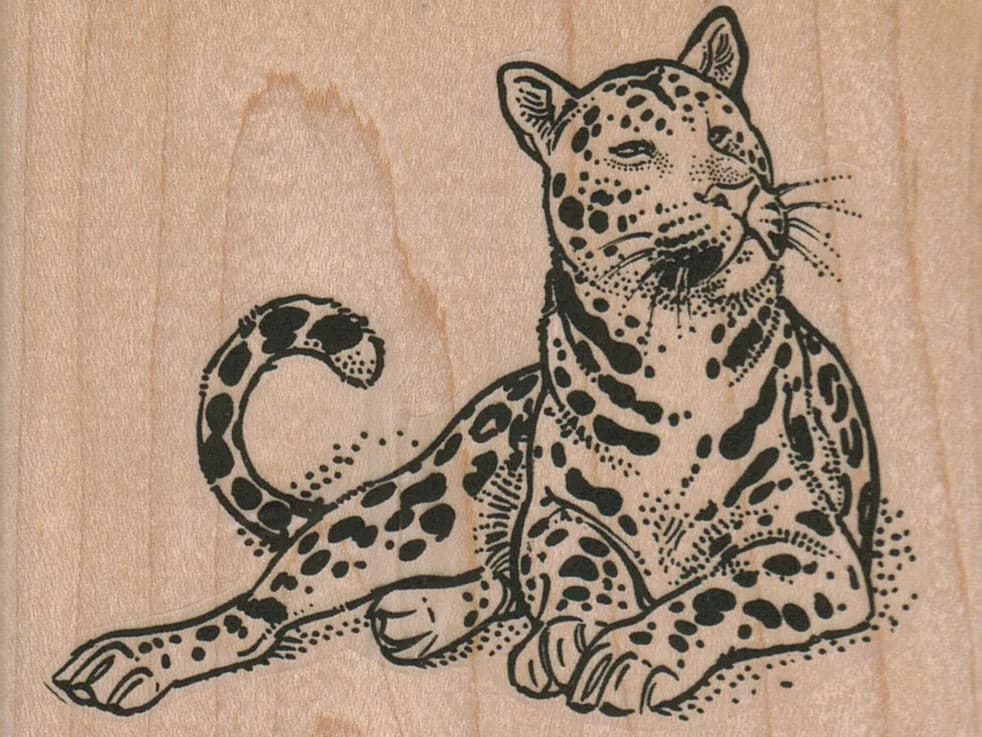 Spotted Cat 3 1/2 X 2 1/2