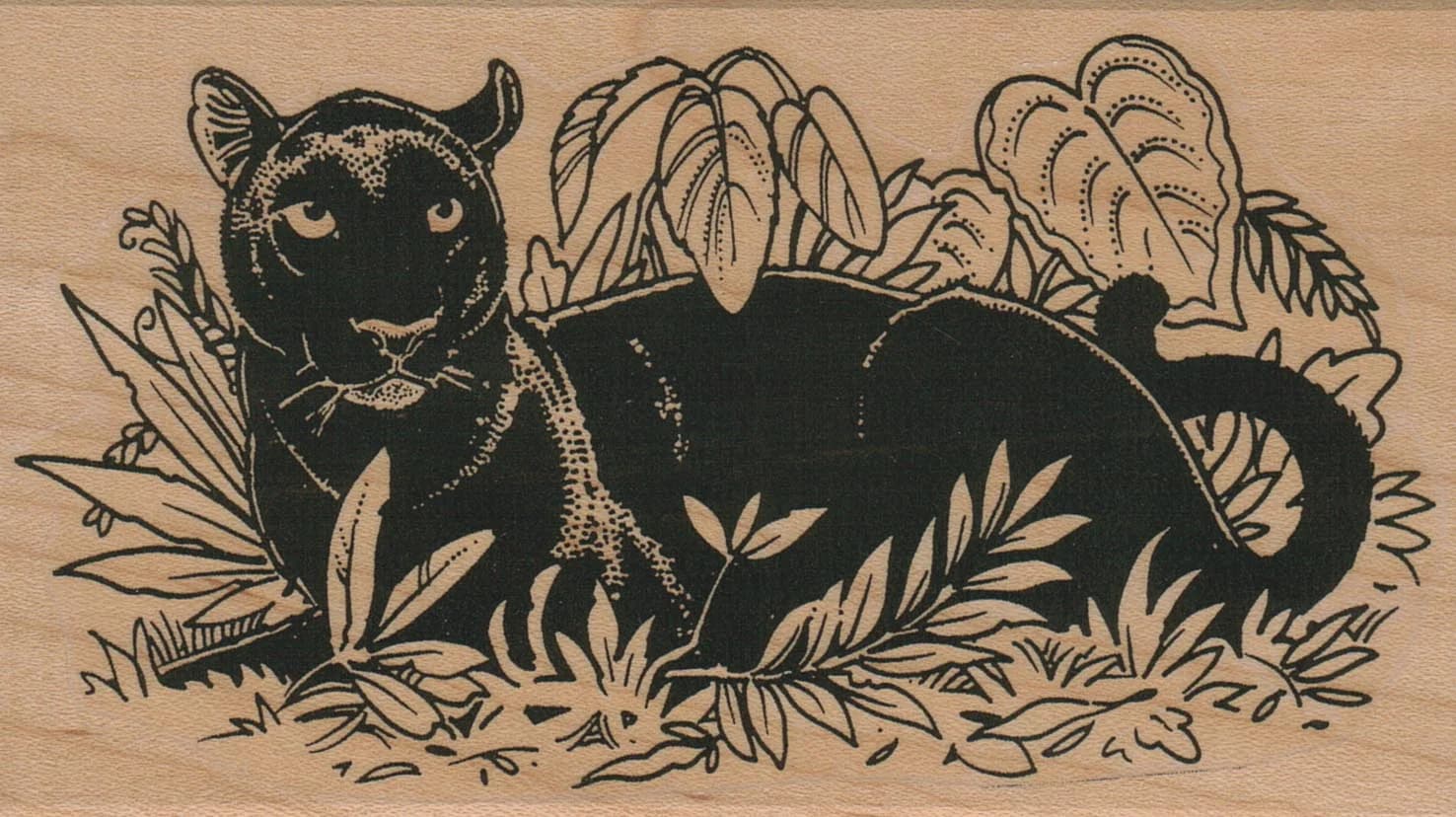 Panther In Plants/large 3 X 5