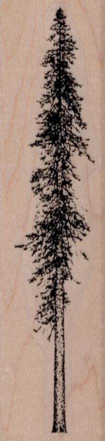 Skinny Fir Tree 1 1/4 X 4 1/2