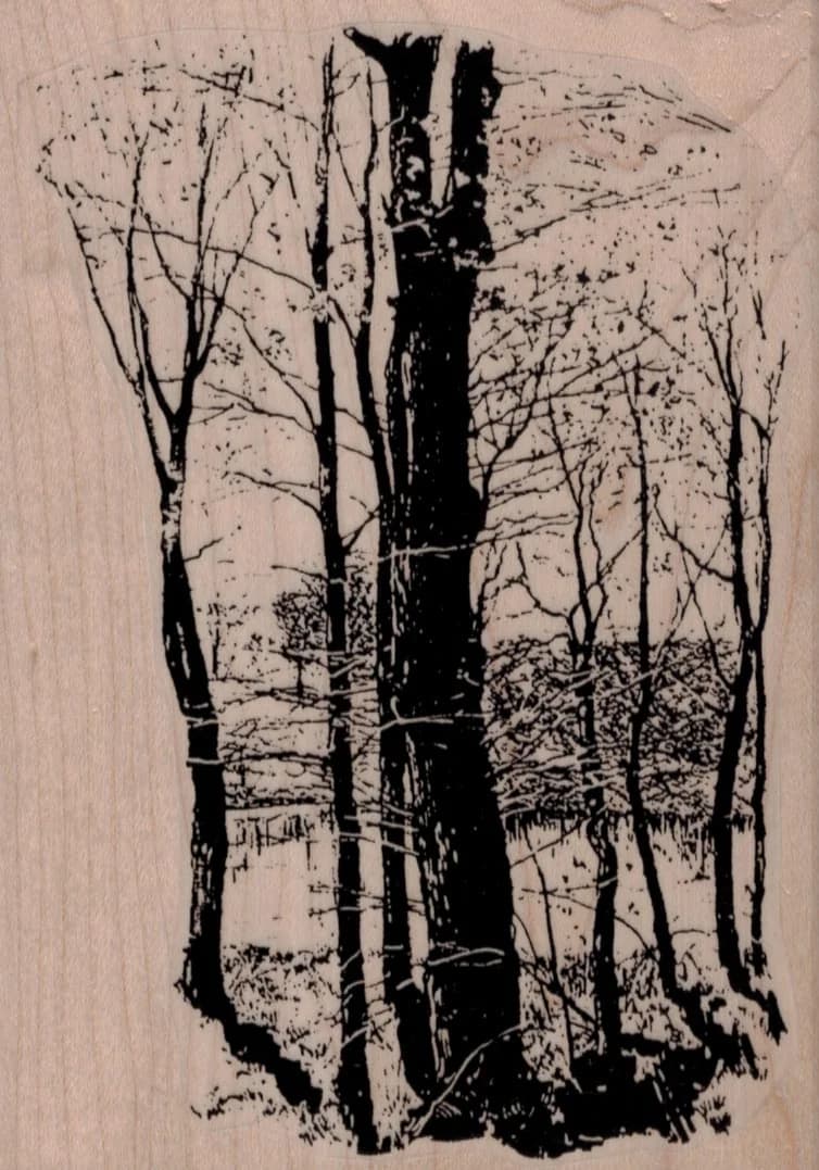 Winter Woods Scene 4 X 5 1/2