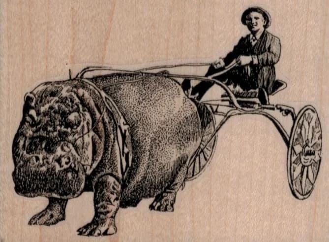 Hippo Racer 3 1/2 X 2 1/2