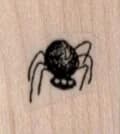 Creepy Tiny Spider By Leslie Wood 3/4 X 3/4