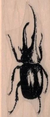 Hercules Beetle 1 X 2