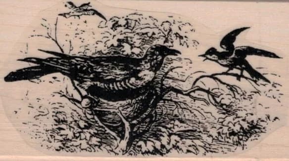 Bird In Birds Nest 1 3/4 X 3