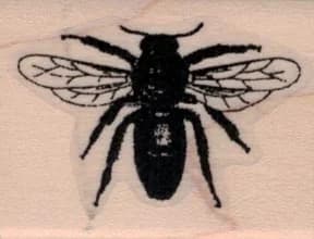 Bee Silhouette By Cat Kerr 1 1/4 X 1 1/2