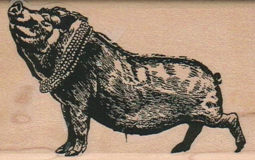 Fashion Pig 2 1/4 X 3 1/2