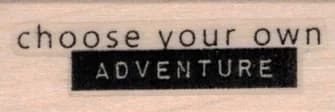 Choose Your Own Adventure 3/4 X 1 3/4