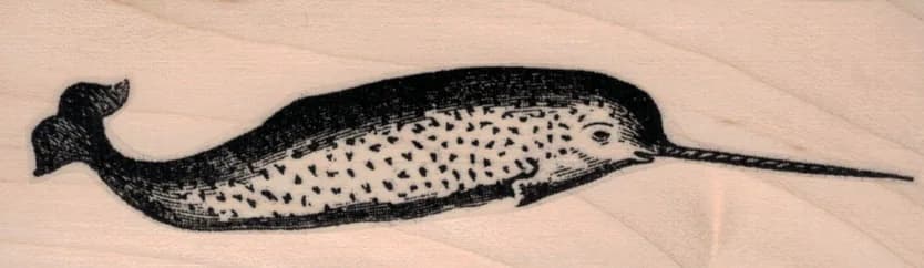 Narwhal 1 1/2 X 4 1/4