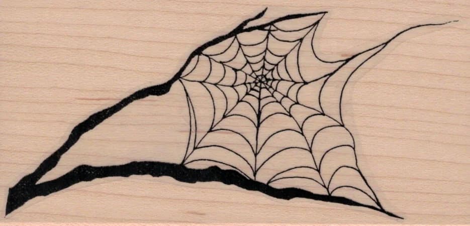 Spider Web In Tree Branches 2 1/2 X 4 3/4