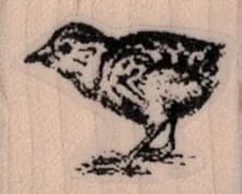 Chick 1 1/4 X 1