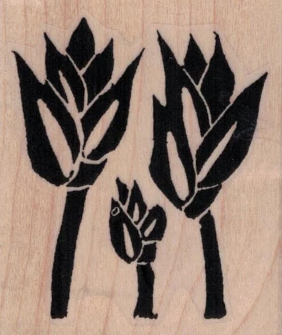 Ethos Tulips By Tina Walker 2 X 2 1/4