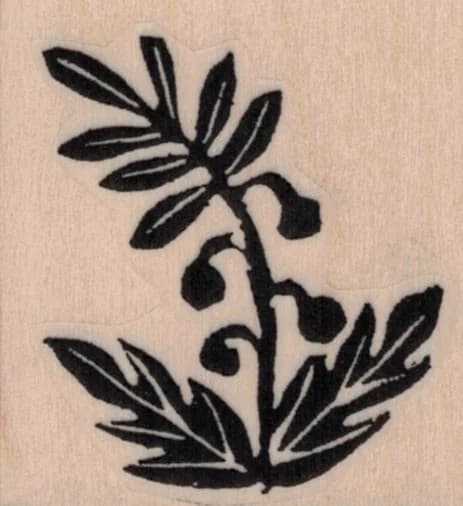 Ethos Plant By Tina Walker 1 3/4 X 1 3/4