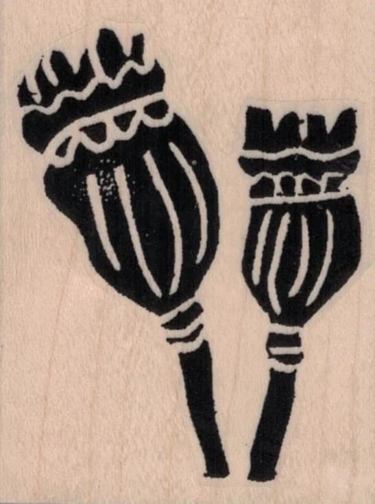 Ethos Flowers By Tina Walker 2 X 2 1/2