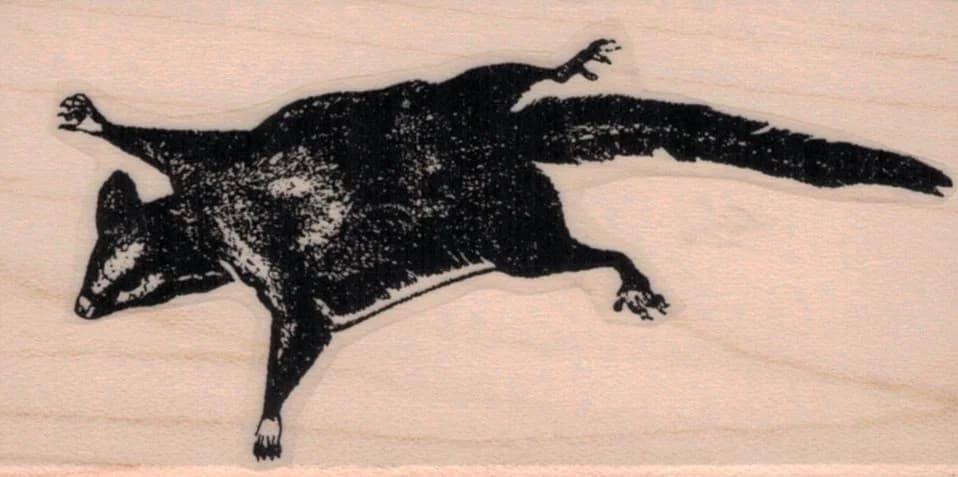 Flying Squirrel 1 3/4 X 3 1/4