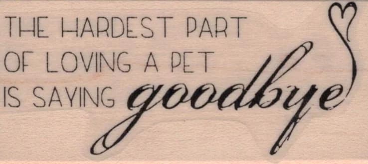 The Hardest Part/pet 1 1/4 X 2 1/2