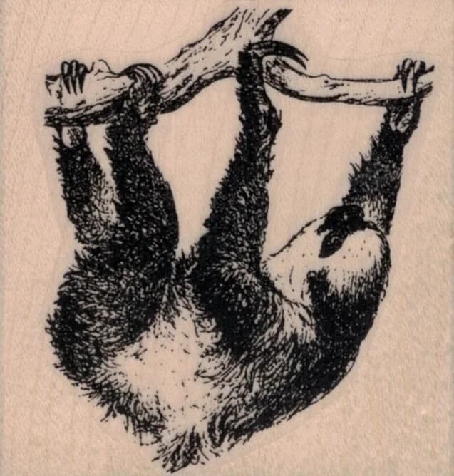 Sloth Hanging From Branch 2 1/4 X 2 1/4